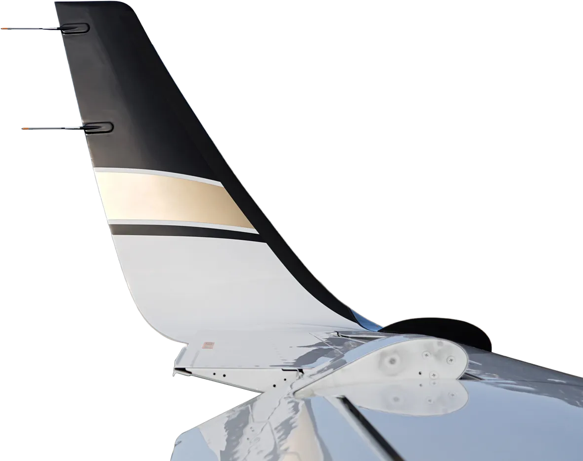Tamarack Active Winglet